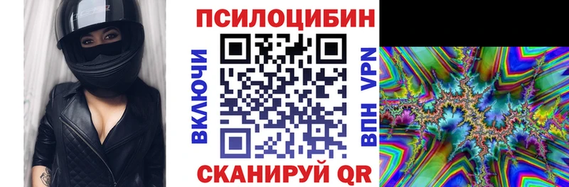 где купить наркотик  Геленджик  Галлюциногенные грибы Psilocybe 